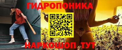 скорость Гай