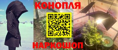 скорость Гай
