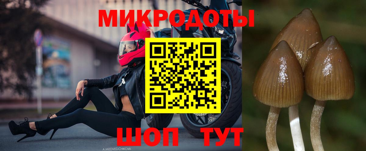 Юрга  Галлюциногенные грибы MAGIC MUSHROOMS  Вход с VPN  Галлюциногенные грибы Magic Shrooms 