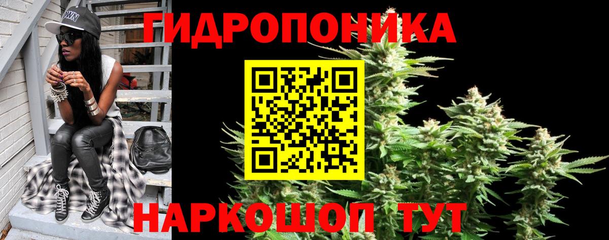 Юрга  Каннабис план  Конопля семена  Канабис SATIVA & INDICA  Марихуана планчик  Вход с VPN 